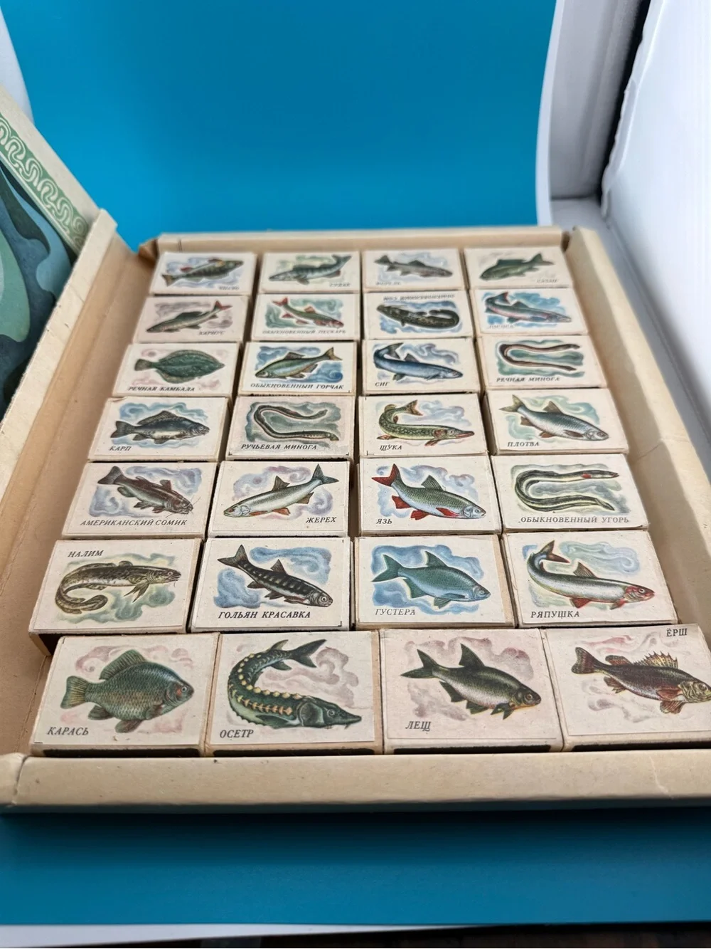 Vintage 1983 USSR Soviet Fish 28 Matchbox Collector Set